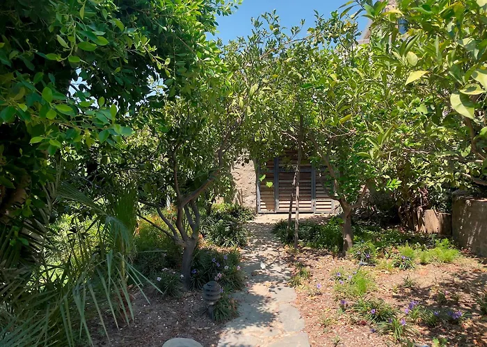 Vila Luxury Stone With Private Pool Bodrum