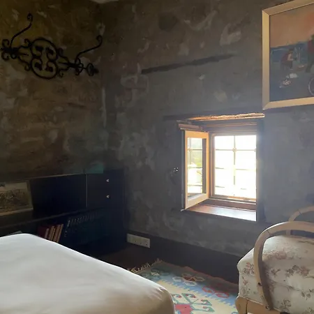 Luxury Stone With Private Pool Villa Ortakent