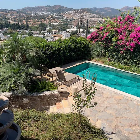 Luxury Stone With Private Pool Villa Ortakent