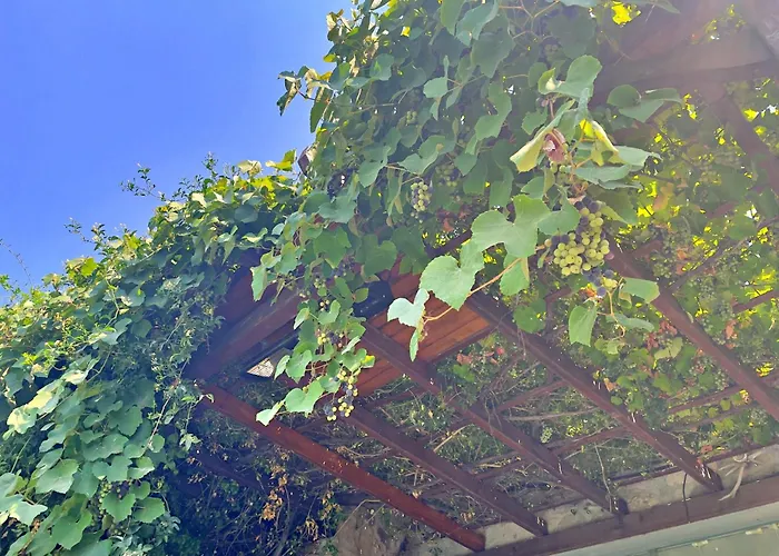 Luxury Stone With Private Pool Vila *