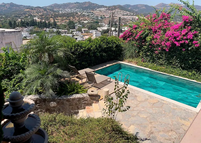 Luxury Stone With Private Pool Βίλα Αλικαρνασσός